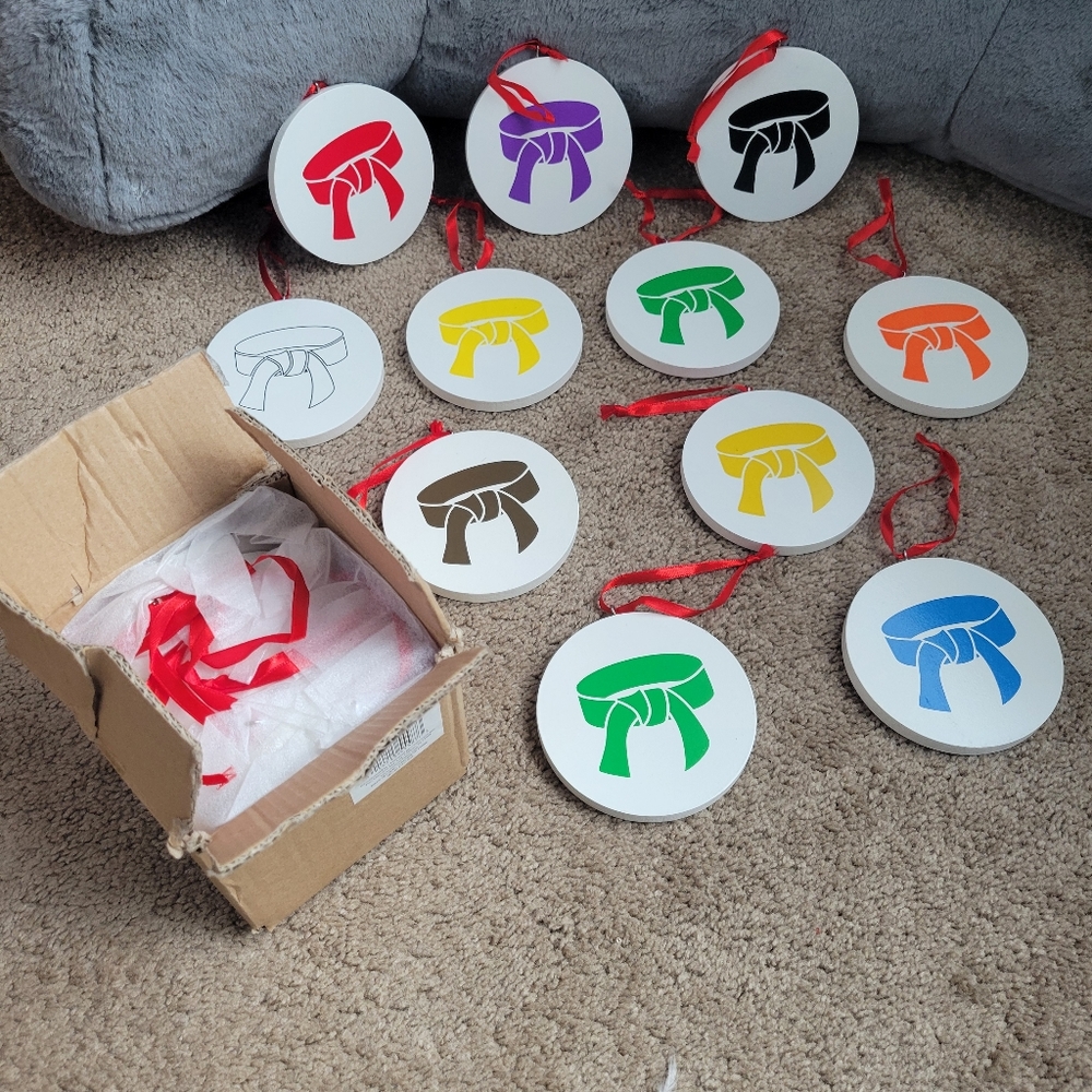 Brand new karate belt ornament set, 11 pieces
